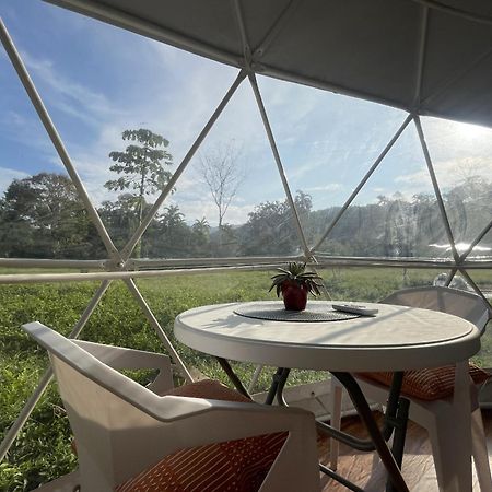 La Comarca River Glamping Dome Near Nationalpark Manuel Antonio Exterior foto