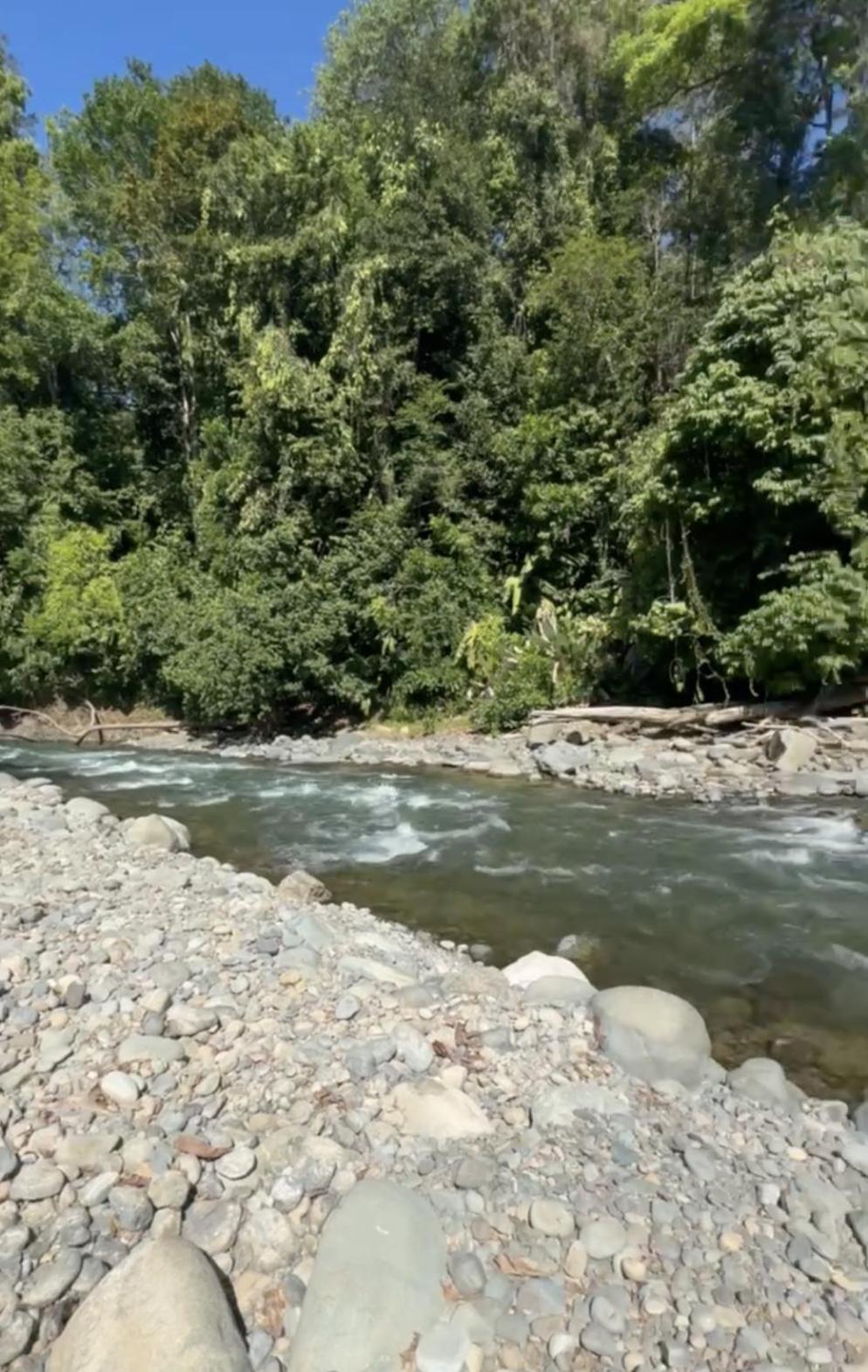La Comarca River Glamping Dome Near Nationalpark Manuel Antonio Exterior foto