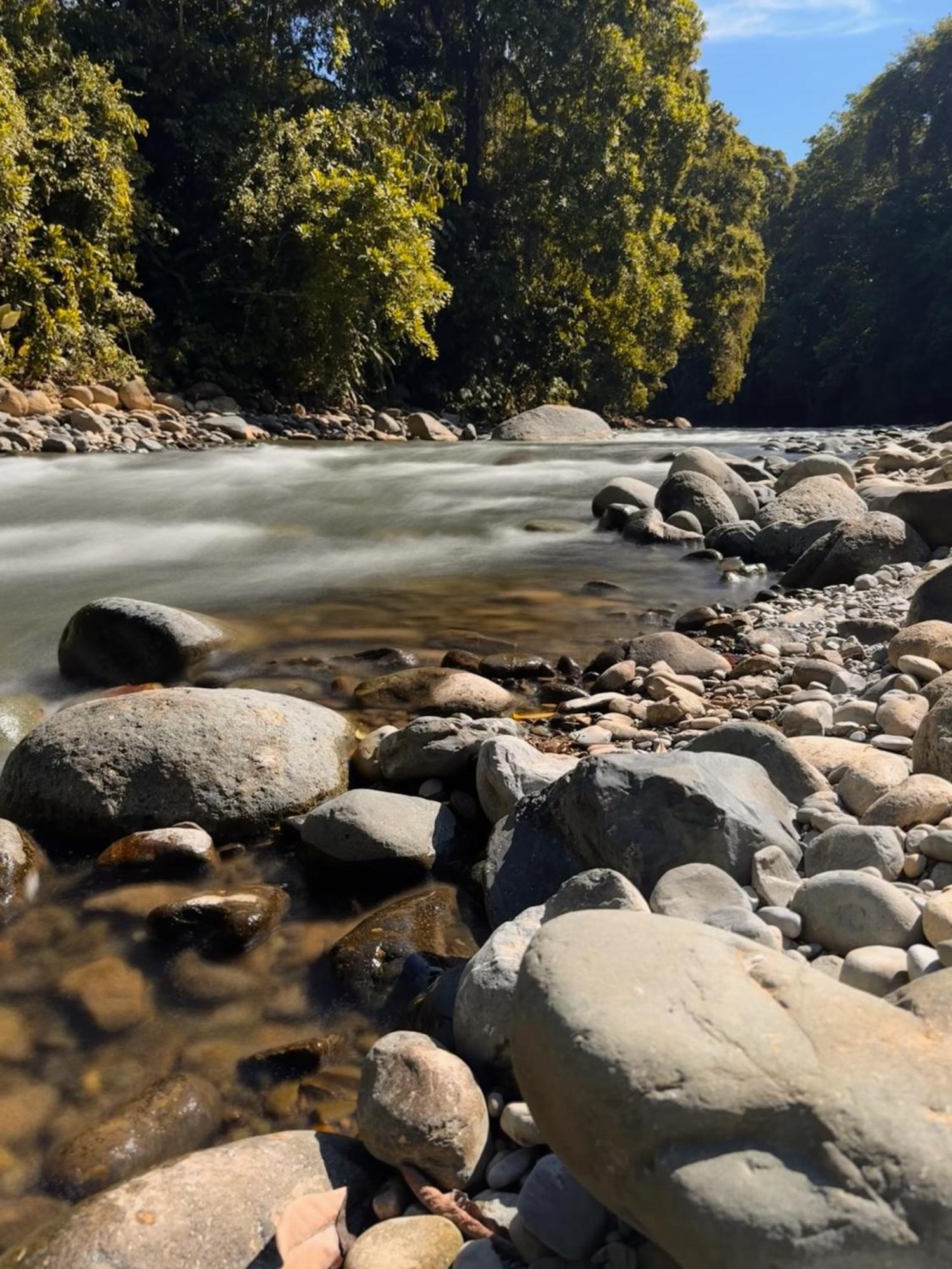 La Comarca River Glamping Dome Near Nationalpark Manuel Antonio Exterior foto